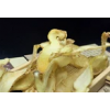 新货玉竹片野生500g包邮新鲜无硫玉竹茶食用滋补药